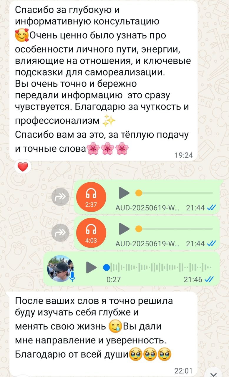 Отзыв клиента о консультации, скриншот переписки